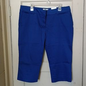 BNWT Ricki's Blue Capri Pants Size 14